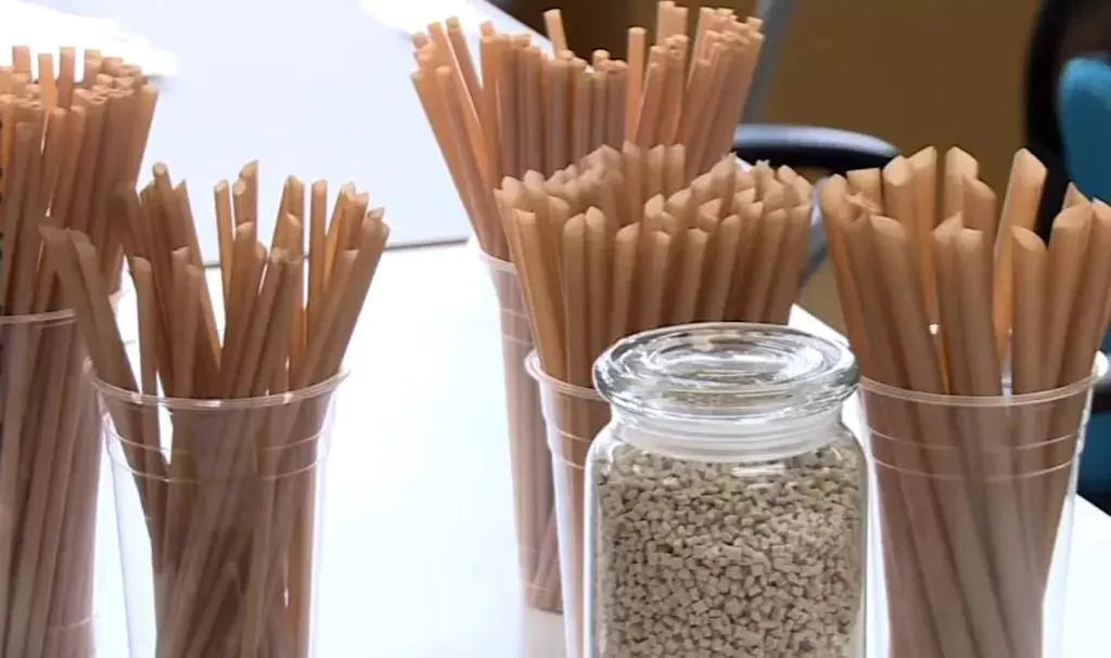 10in Plant Starch Individually Wrapped Straws (125pc*16bag) 独立淀粉吸管