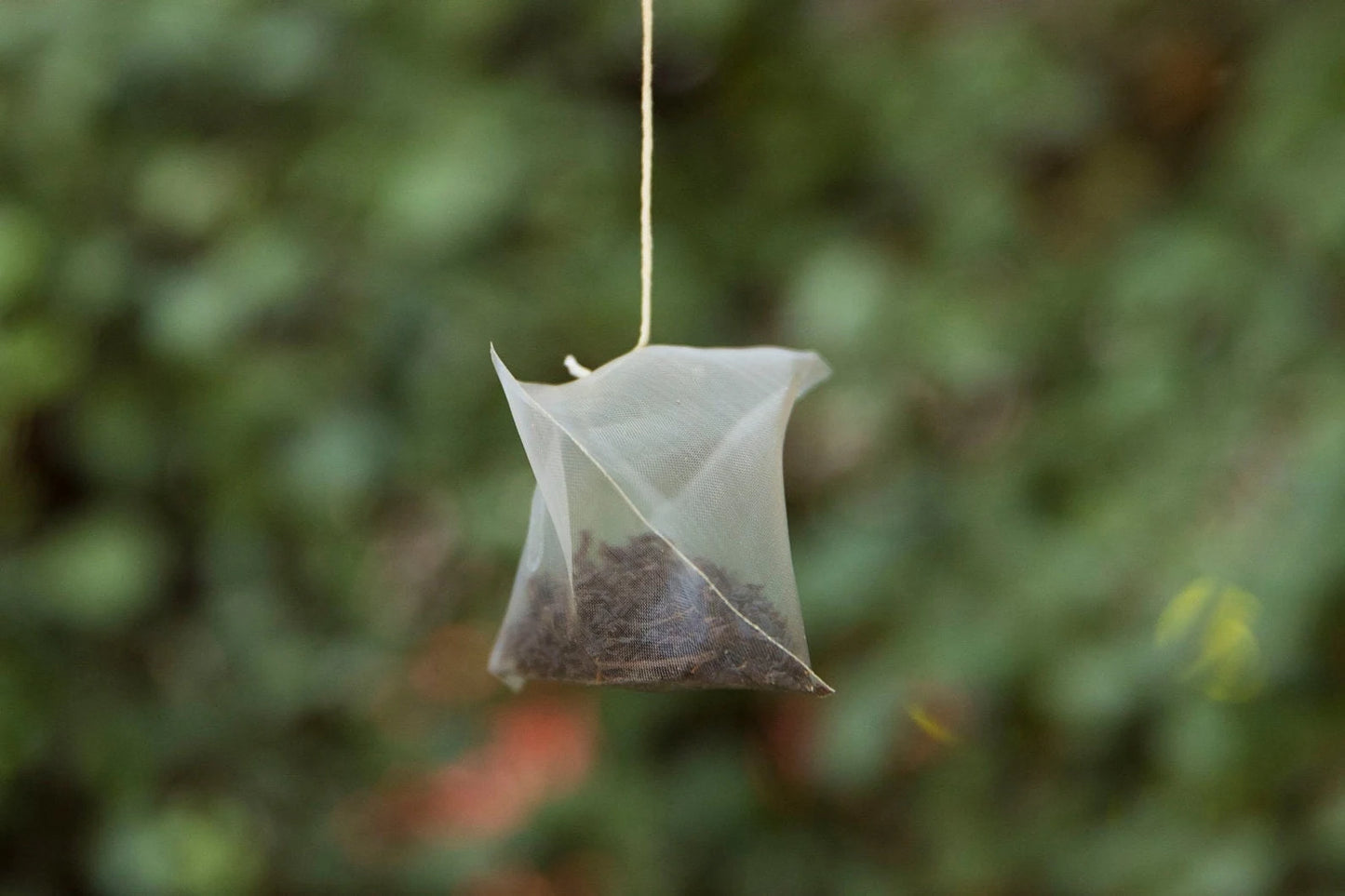 Earl Grey Tea Bag 伯爵茶包