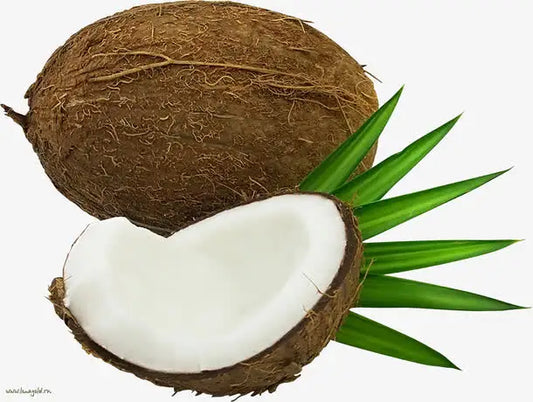 Coconut Jelly 椰子椰果